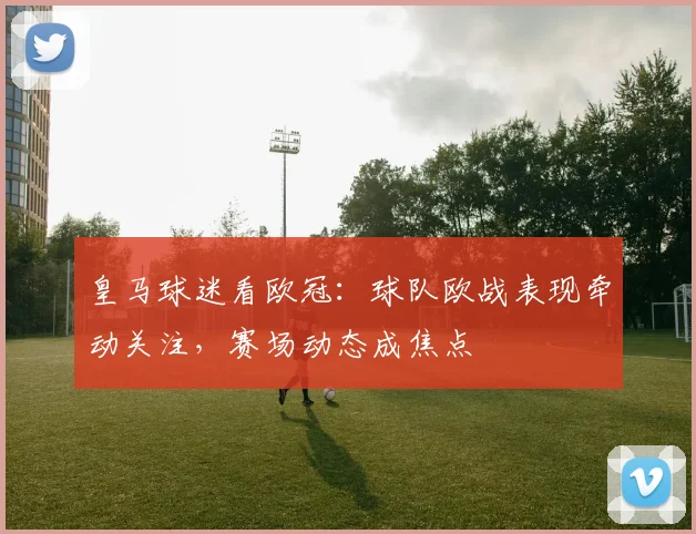 皇马球迷看欧冠：球队欧战表现牵动关注，赛场动态成焦点