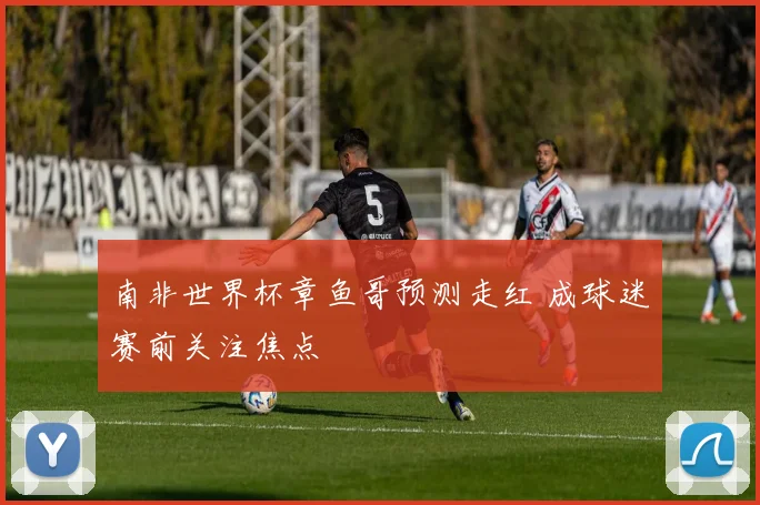 南非世界杯章鱼哥预测走红 成球迷赛前关注焦点