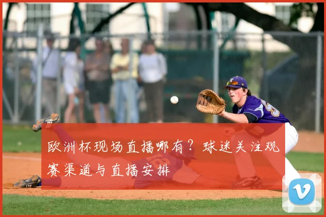 欧洲杯现场直播哪有？球迷关注观赛渠道与直播安排