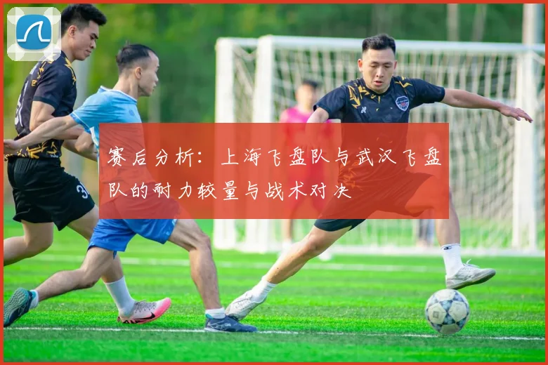 赛后分析：上海飞盘队与武汉飞盘队的耐力较量与战术对决