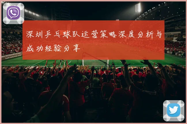 深圳乒乓球队运营策略深度分析与成功经验分享
