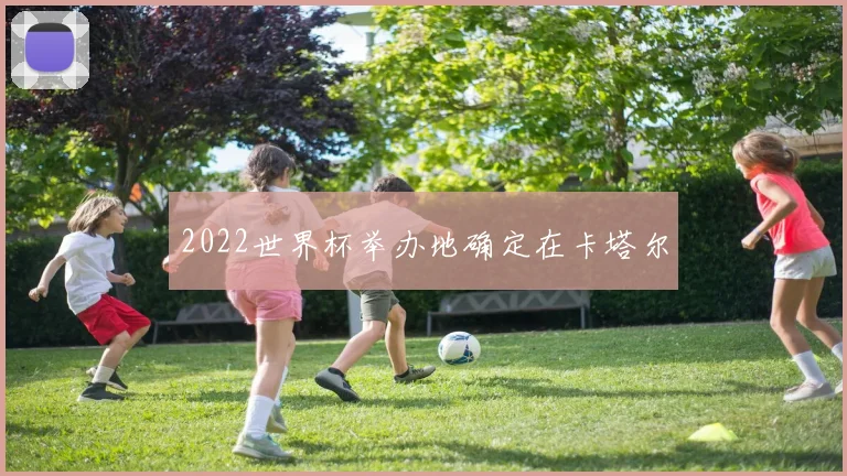 2022世界杯举办地确定在卡塔尔