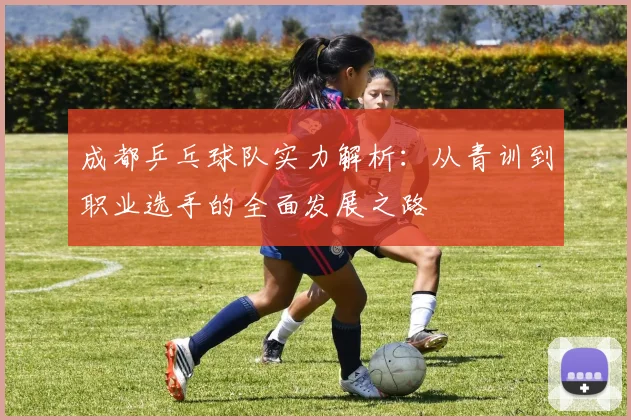 成都乒乓球队实力解析：从青训到职业选手的全面发展之路