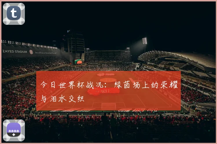 今日世界杯战况：绿茵场上的荣耀与泪水交织