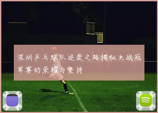 深圳乒乓球队逆袭之路揭秘决战冠军赛的荣耀与坚持