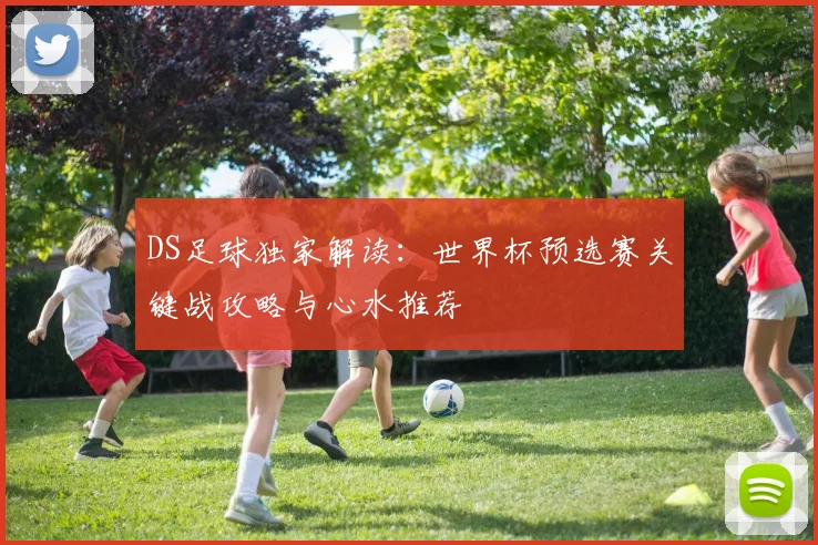 DS足球独家解读：世界杯预选赛关键战攻略与心水推荐