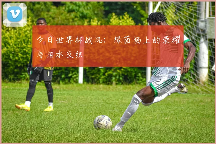 今日世界杯战况：绿茵场上的荣耀与泪水交织