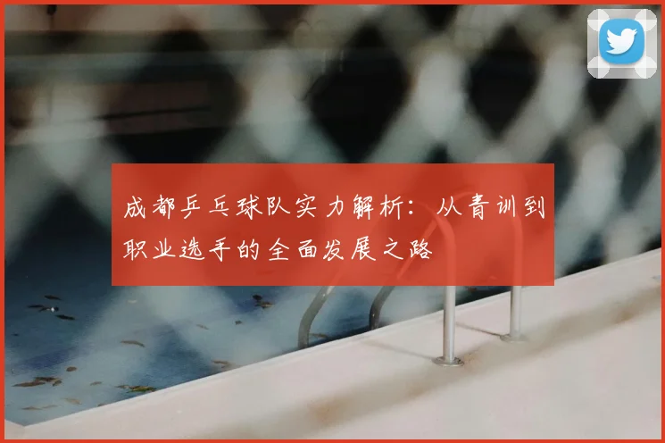 成都乒乓球队实力解析：从青训到职业选手的全面发展之路