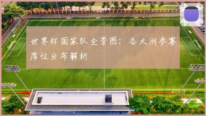 世界杯国家队全景图：各大洲参赛席位分布解析