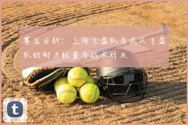 赛后分析：上海飞盘队与武汉飞盘队的耐力较量与战术对决