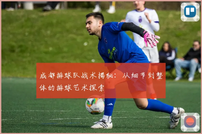 成都排球队战术揭秘:从细节到整体的排球艺术探索