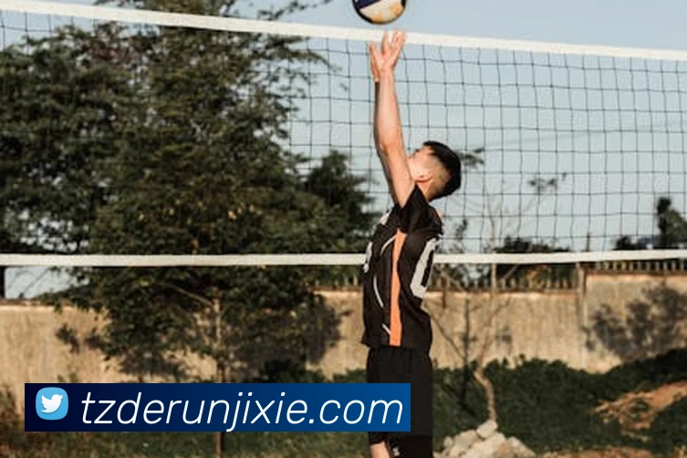 线上买球平台生态图